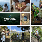 Ganze Bohnen für deinen Kaffee zu Hause. Für Filter, Siebträger oder Vollautomaten. Arhuaco Native Coffee | 500 g
