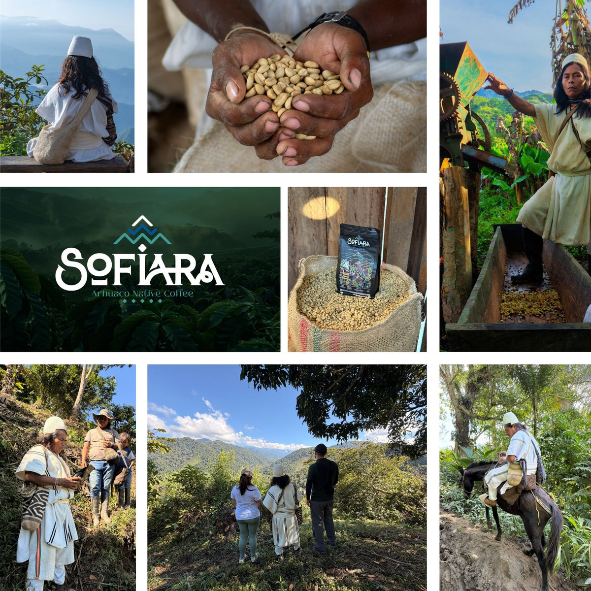 Ganze Bohnen für deinen Kaffee zu Hause. Für Filter, Siebträger oder Vollautomaten. Arhuaco Native Coffee | 500 g